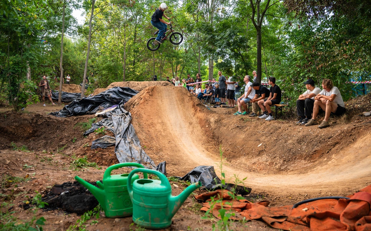 _BMX0817
