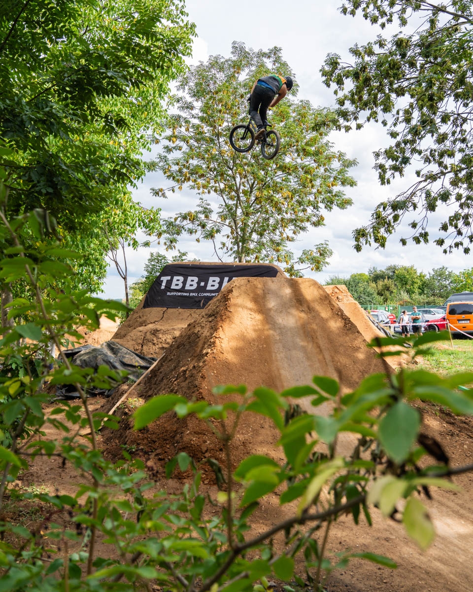 _BMX0833