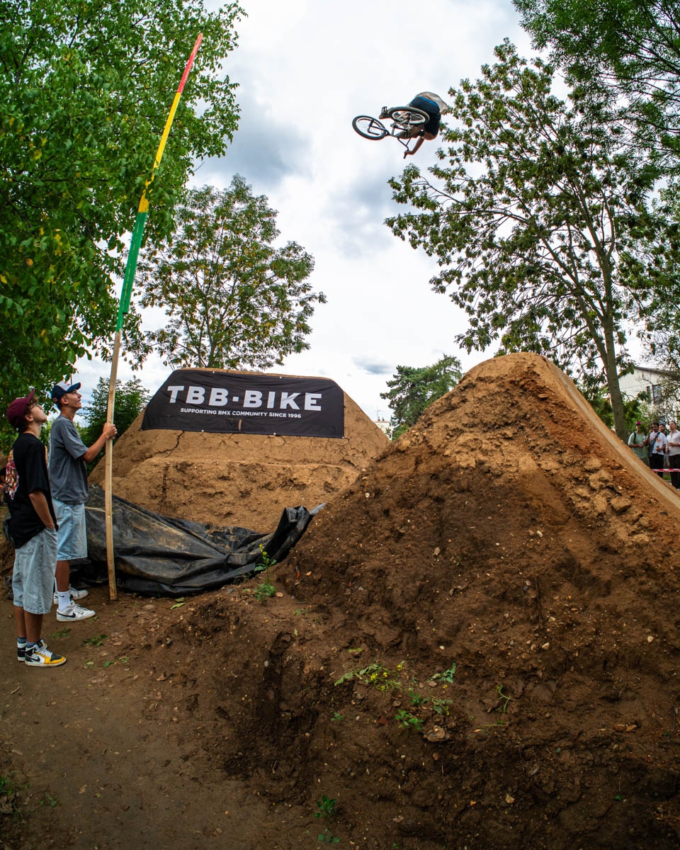 _BMX1190
