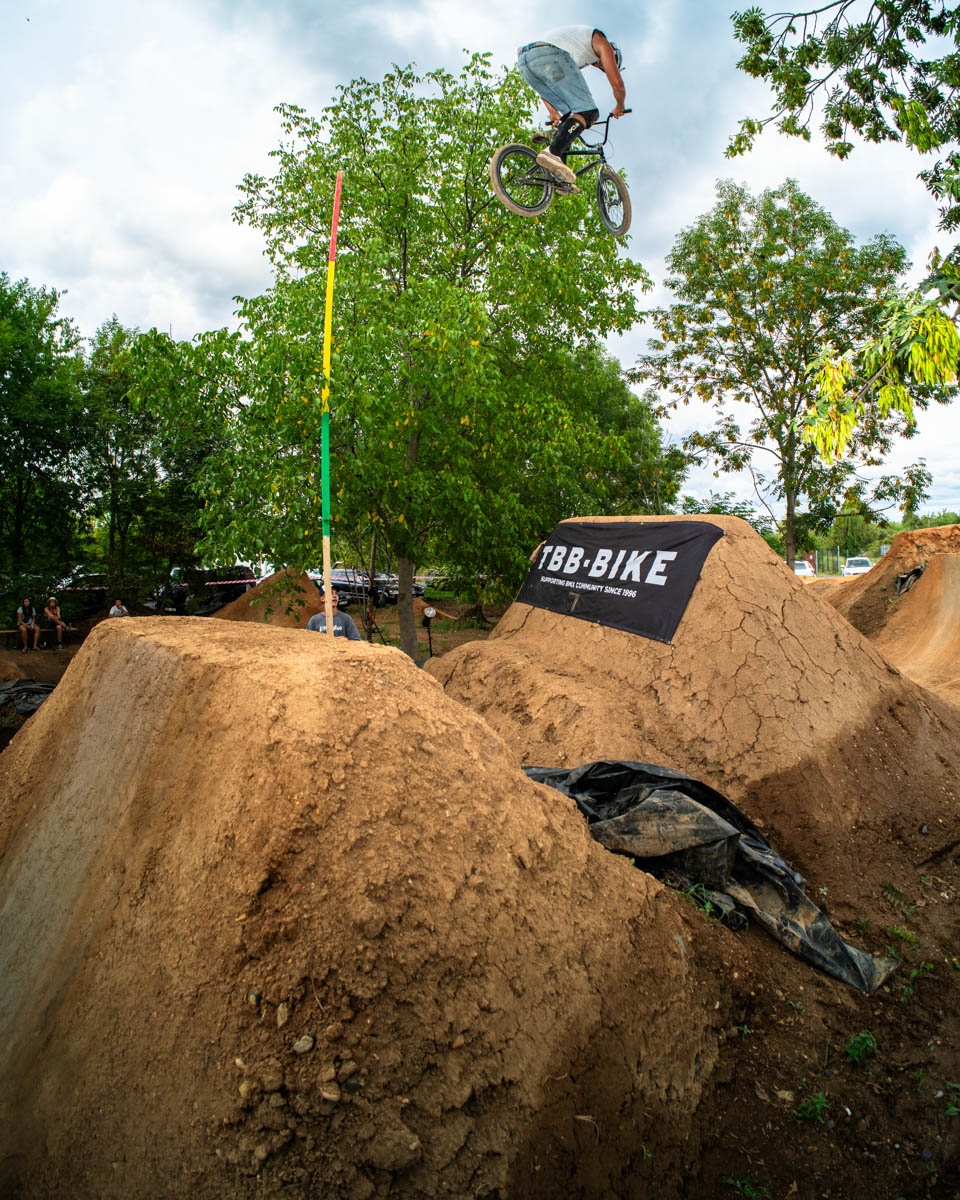 _BMX1209