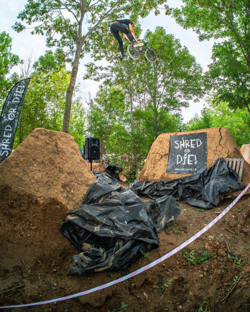 _BMX1293