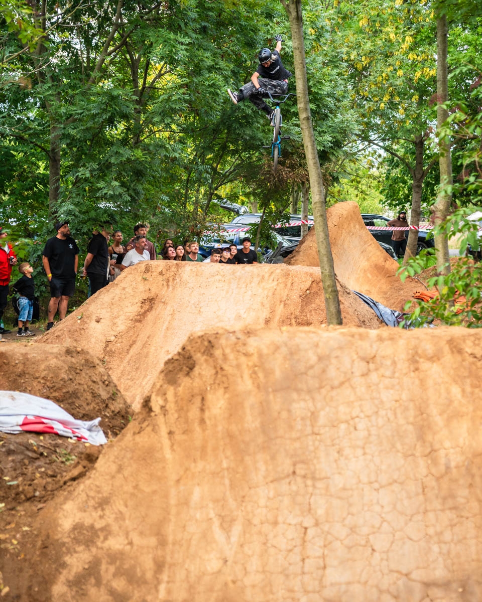 _BMX1341
